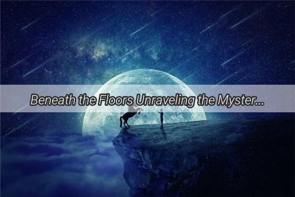 Beneath the Floors Unraveling the Mysteries of the Underground Ditch in Your Dream